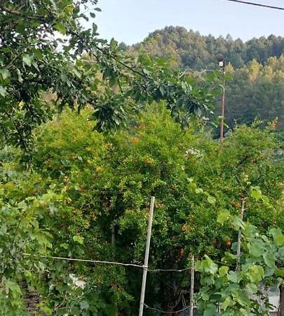 Apartament Teuta Përmet Dış mekan fotoğraf