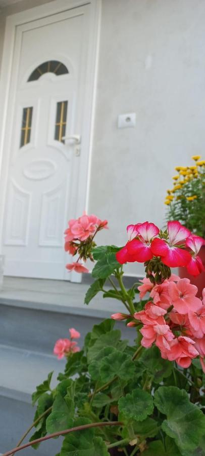 Apartament Teuta Përmet Dış mekan fotoğraf