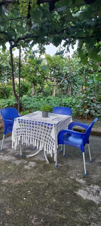 Apartament Teuta Përmet Dış mekan fotoğraf